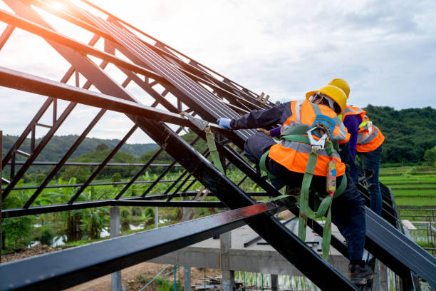 Best Gutter Installation and Roofing  in Zimmerman, MN