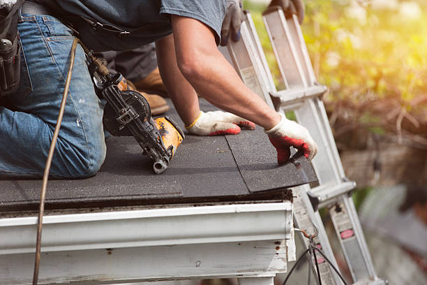 Best Roof Gutter Cleaning  in Zimmerman, MN