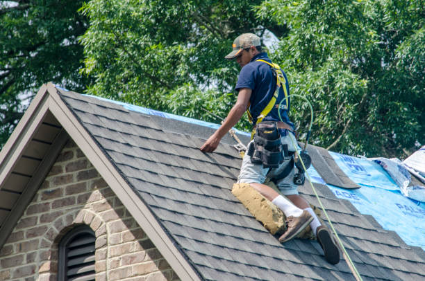 Best Roof Waterproofing Services  in Zimmerman, MN